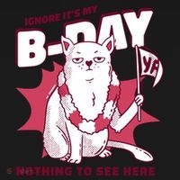 Ignore It's My Birthday Nothing To See Here Cat Hoodie thumb 7