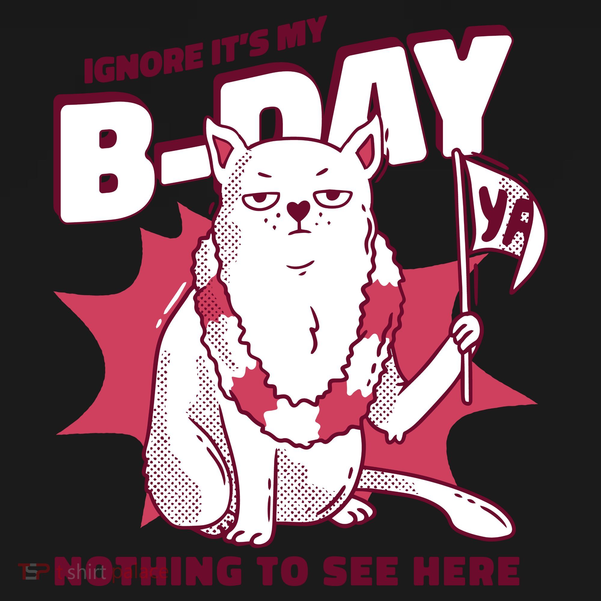 Ignore It's My Birthday Nothing To See Here Cat Hoodie