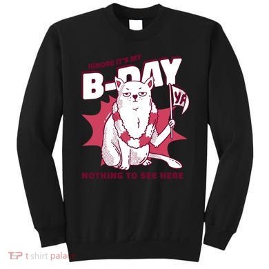 Ignore It's My Birthday Nothing To See Here Cat Sweatshirt