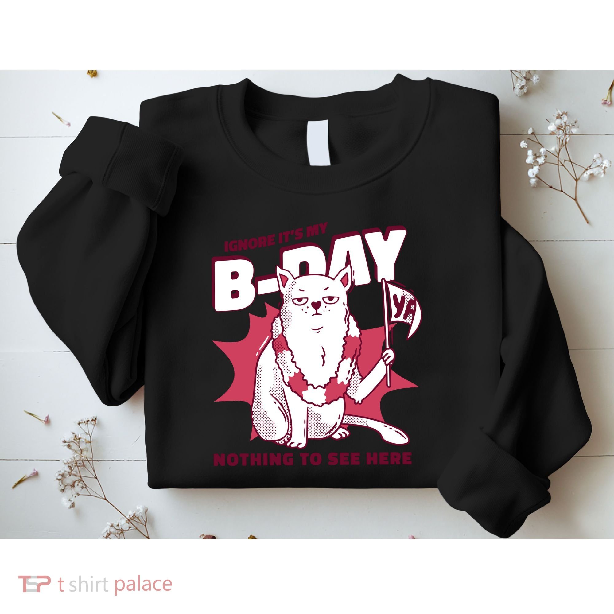 Ignore It's My Birthday Nothing To See Here Cat Sweatshirt