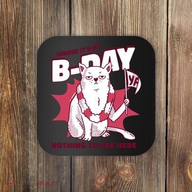 Ignore It's My Birthday Nothing To See Here Cat Coaster