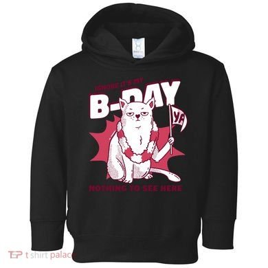 Ignore It's My Birthday Nothing To See Here Cat Toddler Hoodie