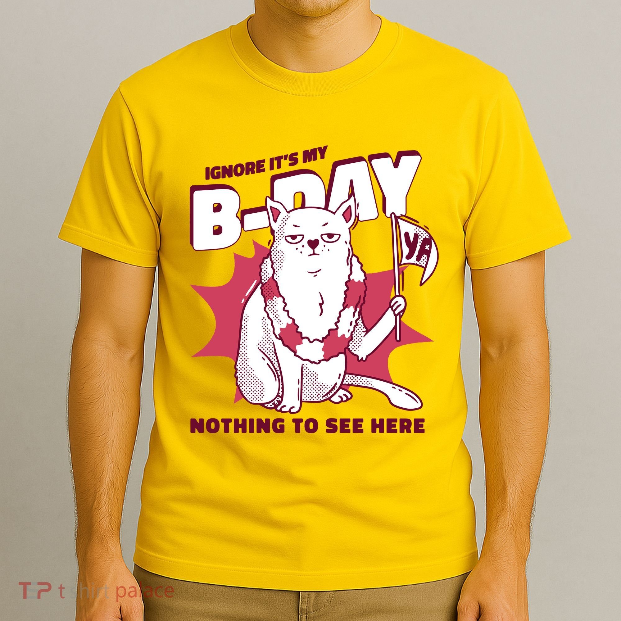 Ignore It's My Birthday Nothing To See Here Cat T-Shirt