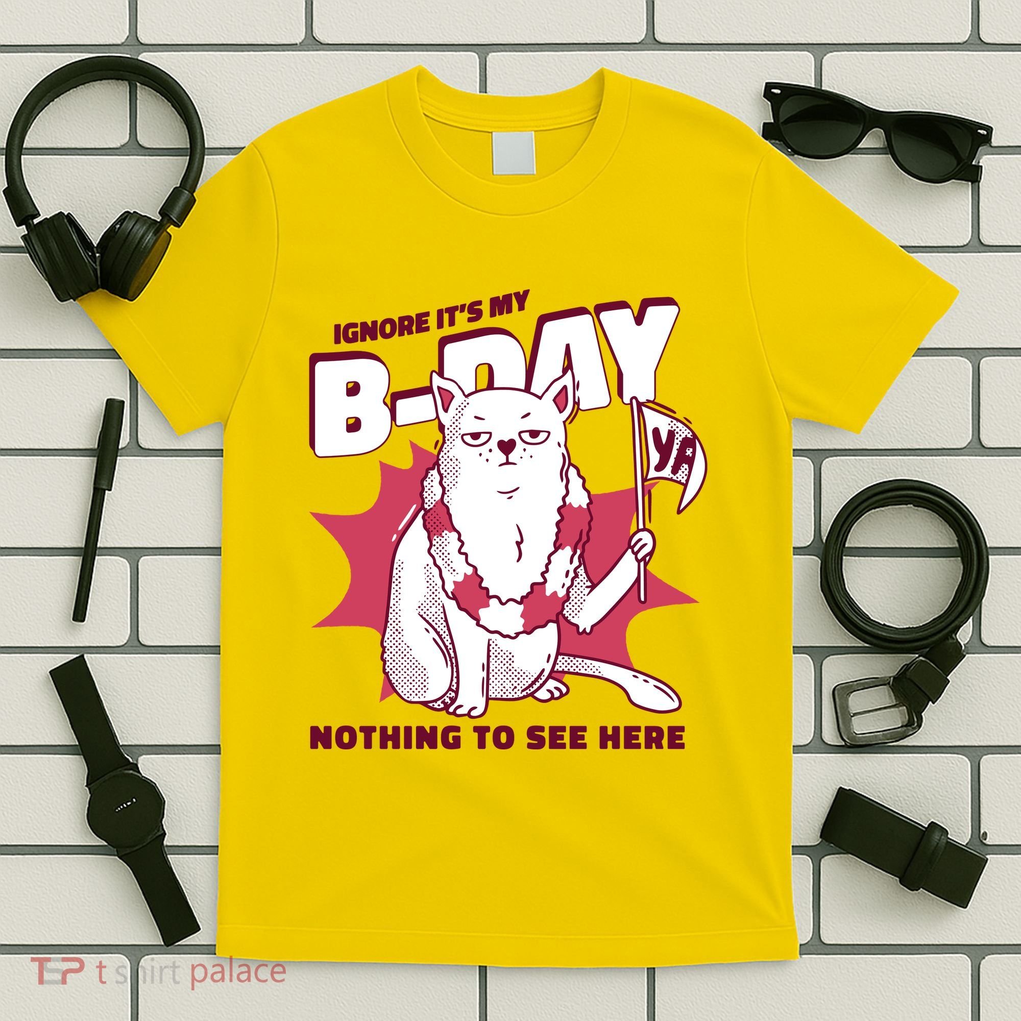 Ignore It's My Birthday Nothing To See Here Cat T-Shirt