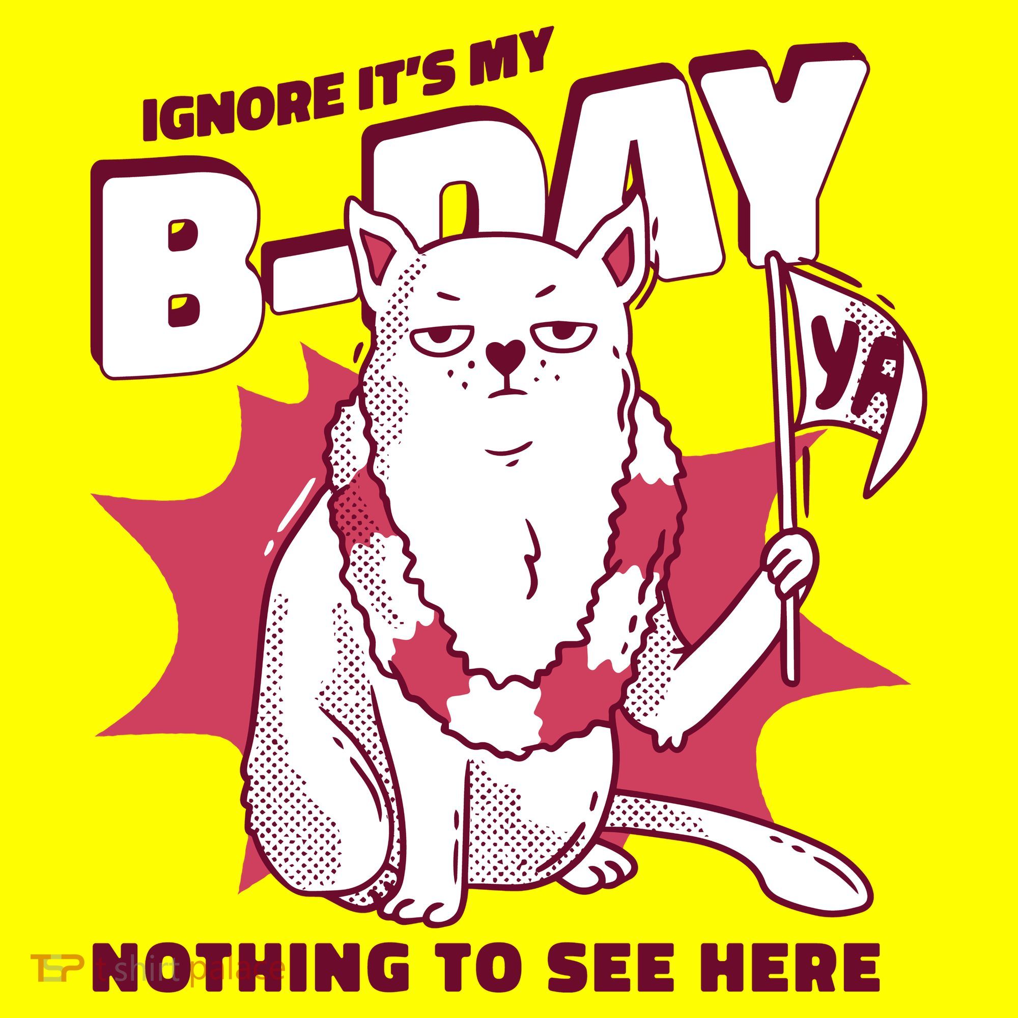Ignore It's My Birthday Nothing To See Here Cat Baby Bodysuit