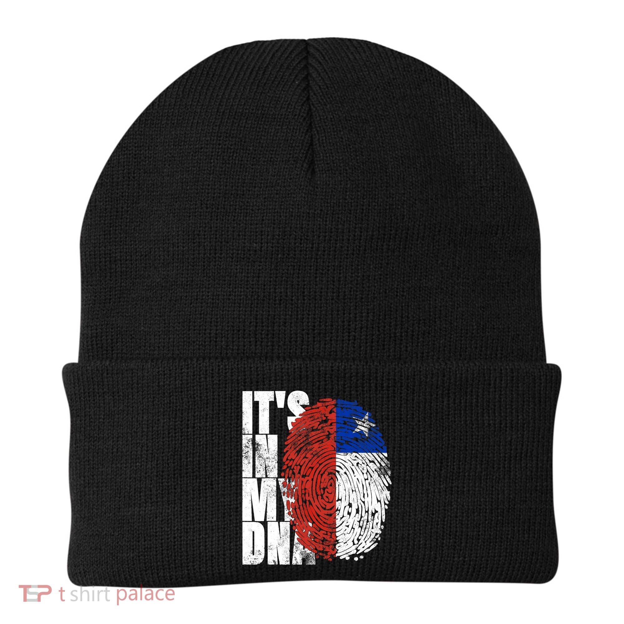 It's In My DNA Chilean Hispanic Gift Chileno Cool Chile Flag Beanie