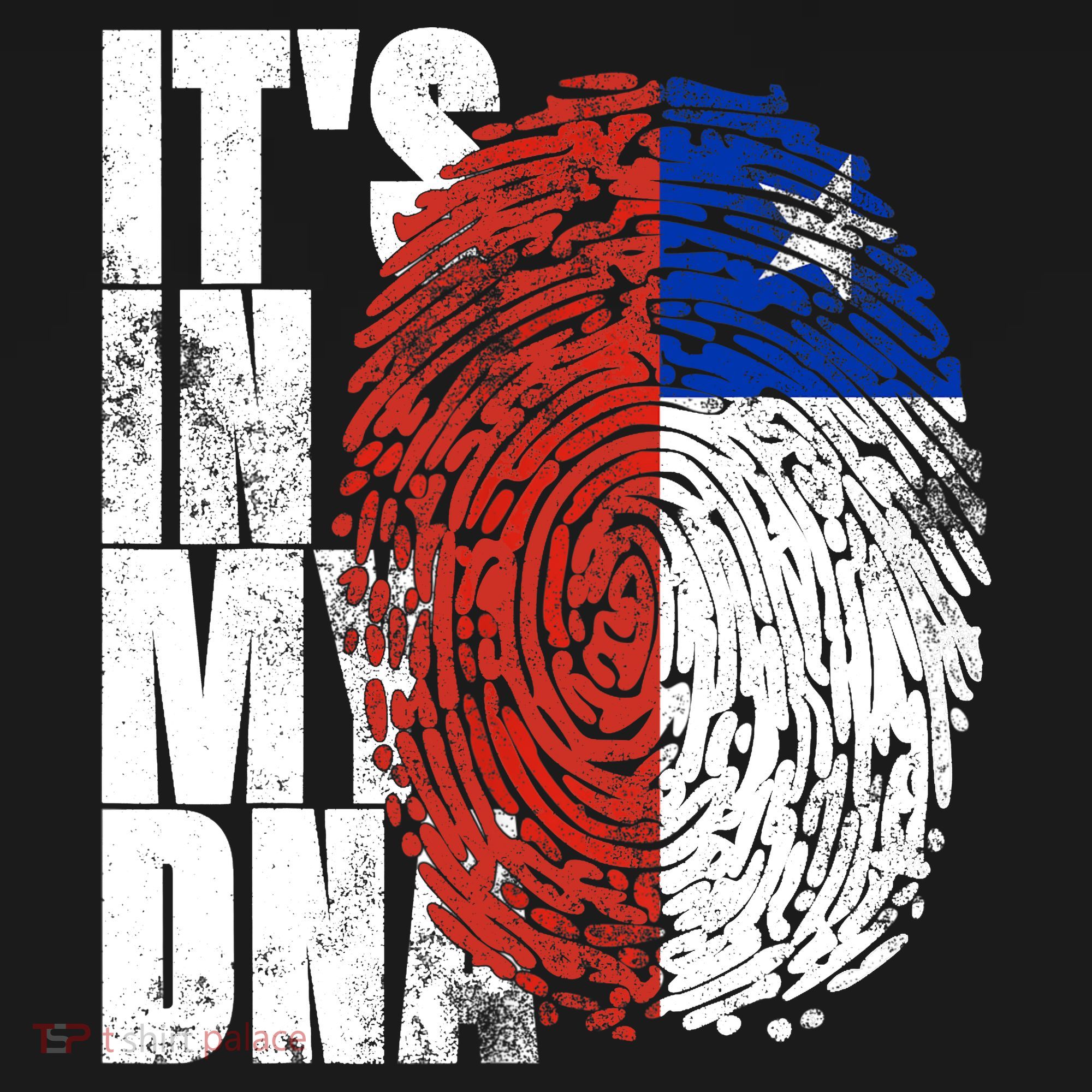 It's In My DNA Chilean Hispanic Gift Chileno Cool Chile Flag Women's Hoodie