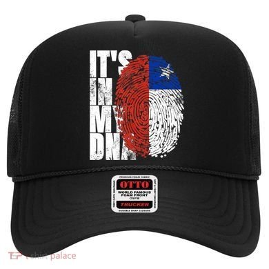 It's In My DNA Chilean Hispanic Gift Chileno Cool Chile Flag Hat