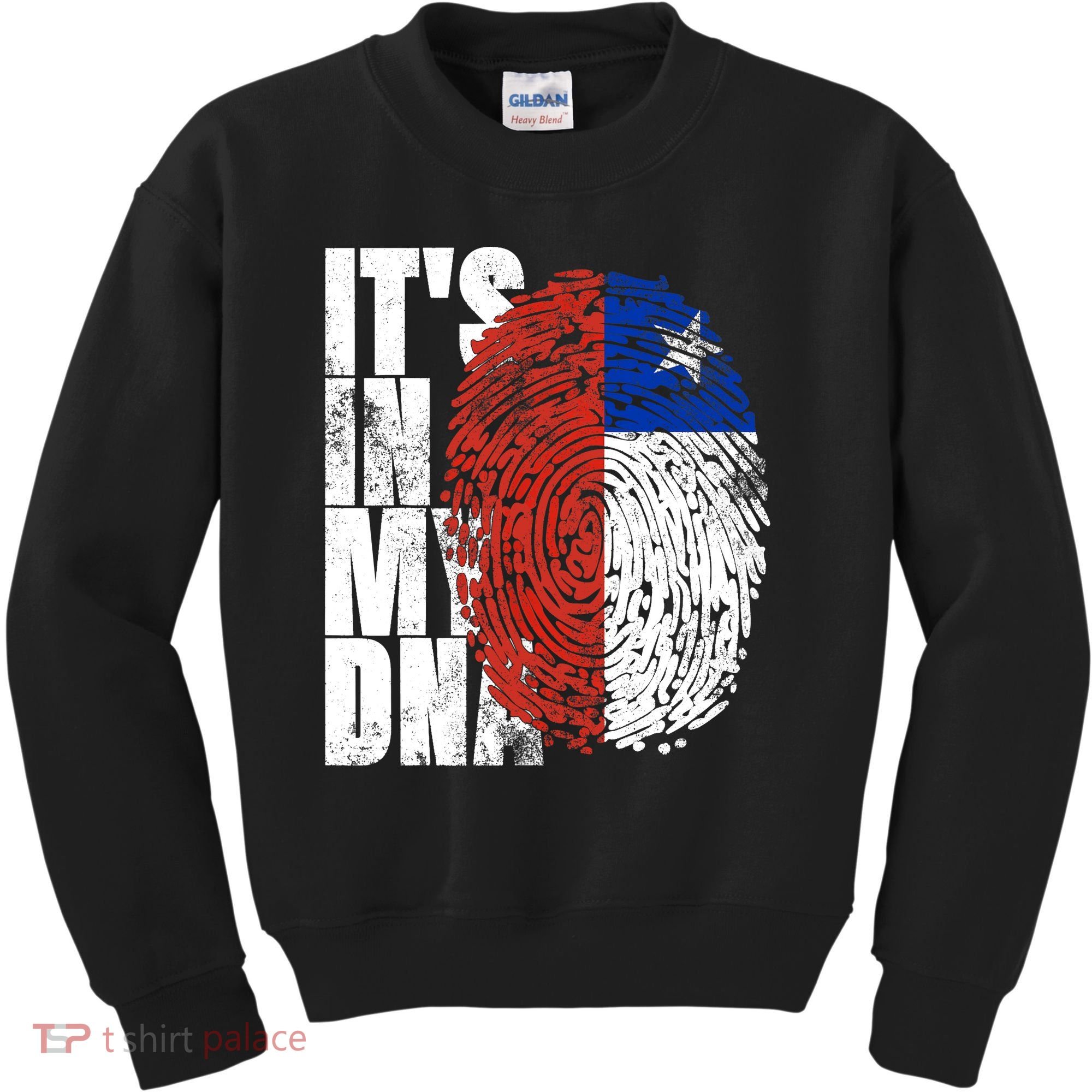 It's In My DNA Chilean Hispanic Gift Chileno Cool Chile Flag Kids Sweatshirt