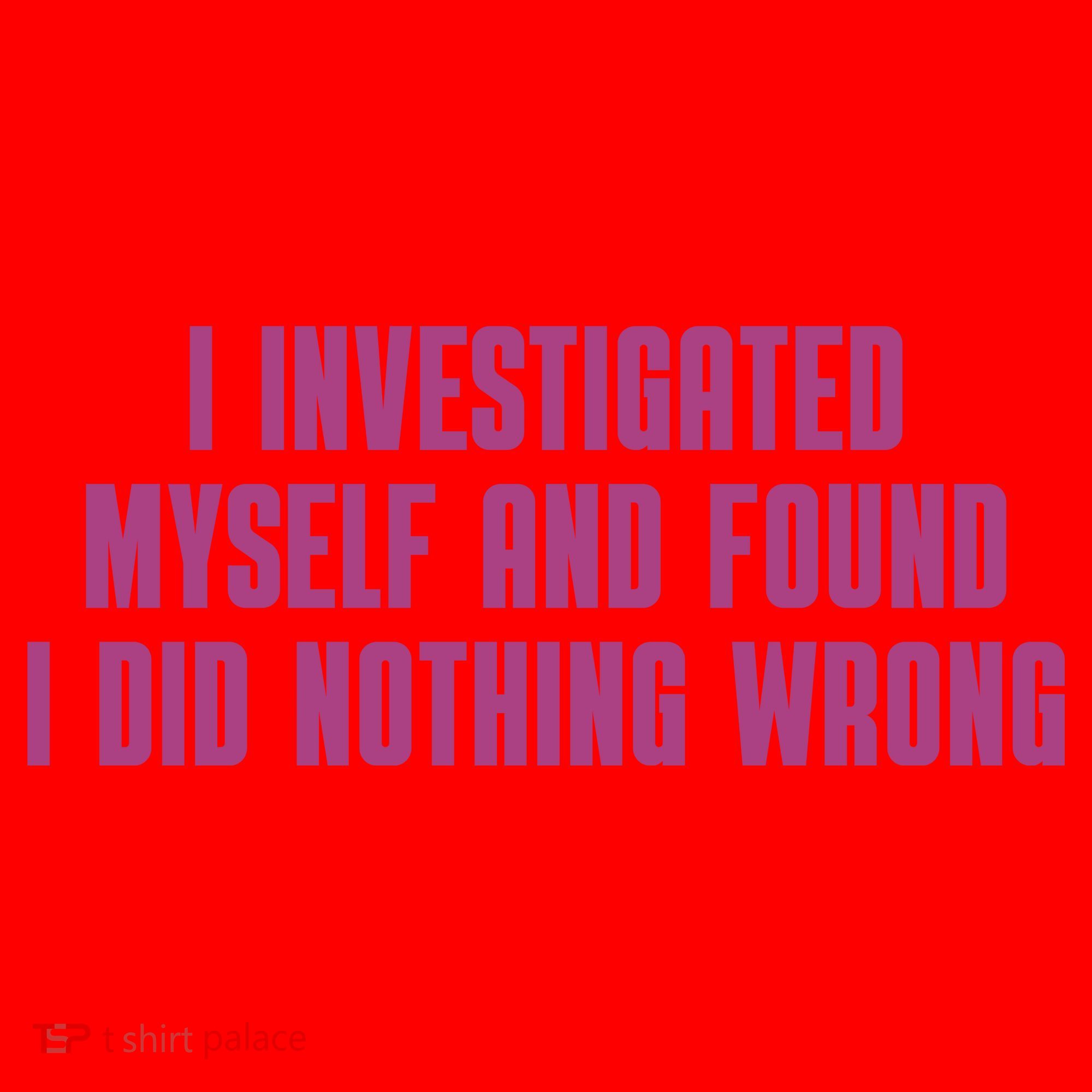 I Investigated Myself And Found I Did Nothing Wrong Santa Hat