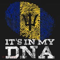 It's In My DNA Barbados Cool Barbadian Afro Bajan Flag Ornament thumb 1