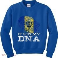 It's In My DNA Barbados Cool Barbadian Afro Bajan Flag Kids Sweatshirt thumb 0