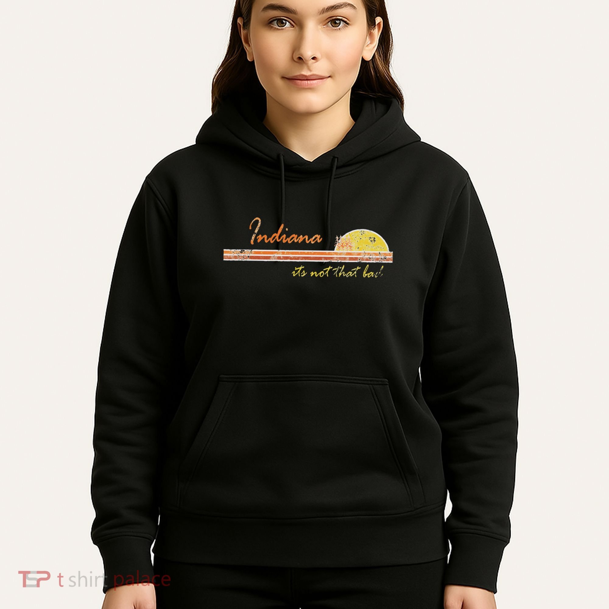 Indiana Its Not That Bad Awesome Retro State Hoodie