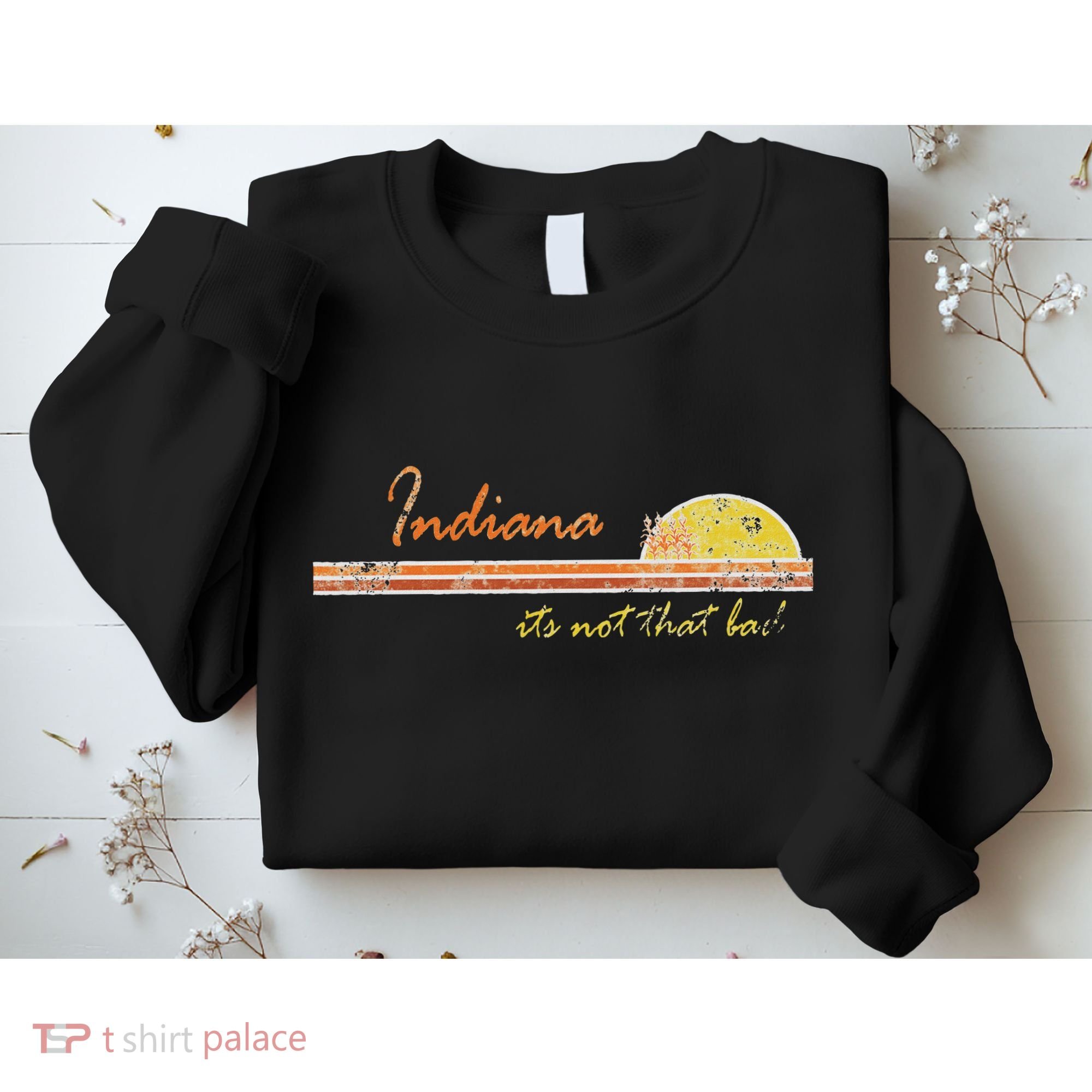 Indiana Its Not That Bad Awesome Retro State Sweatshirt