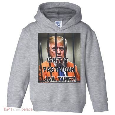 IsnT It Past Your Jail Time Toddler Hoodie