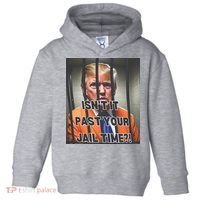IsnT It Past Your Jail Time Toddler Hoodie thumb 0