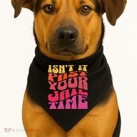 Isn’T It Past Your Jail Time USA-Made Doggie Bandana thumb 1