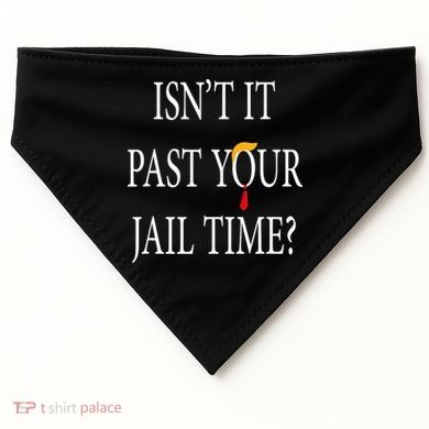 Isn’T It Past Your Jail Time USA-Made Doggie Bandana