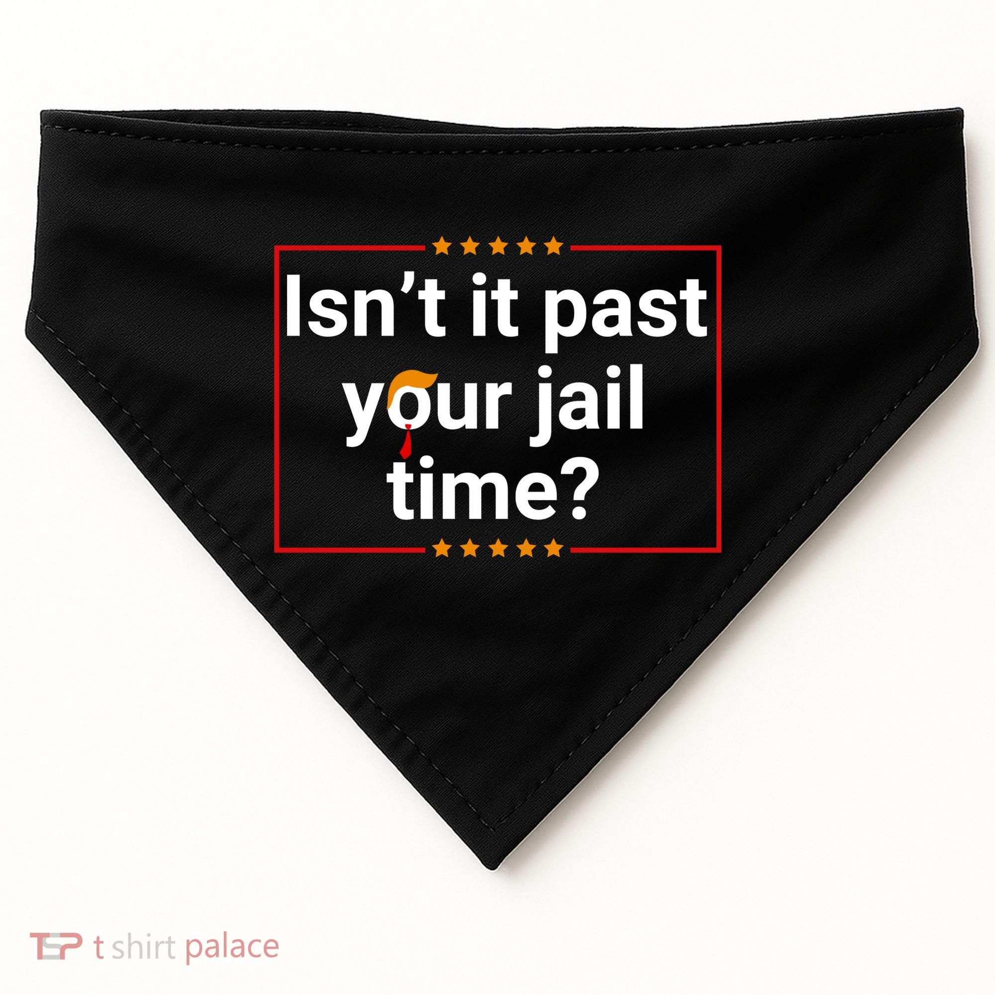 IsnT It Past Your Jail Time USA-Made Doggie Bandana