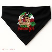 Iranian Iran Persian Flag Gift USA-Made Doggie Bandana thumb 0