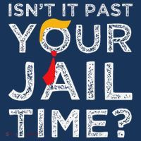 Isn’T It Past Your Jail Time Funny Saying Joke Humour Long Sleeve Shirt thumb 2
