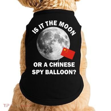 Is It The Moon Or A Chinese Spy Balloon Doggie Tank