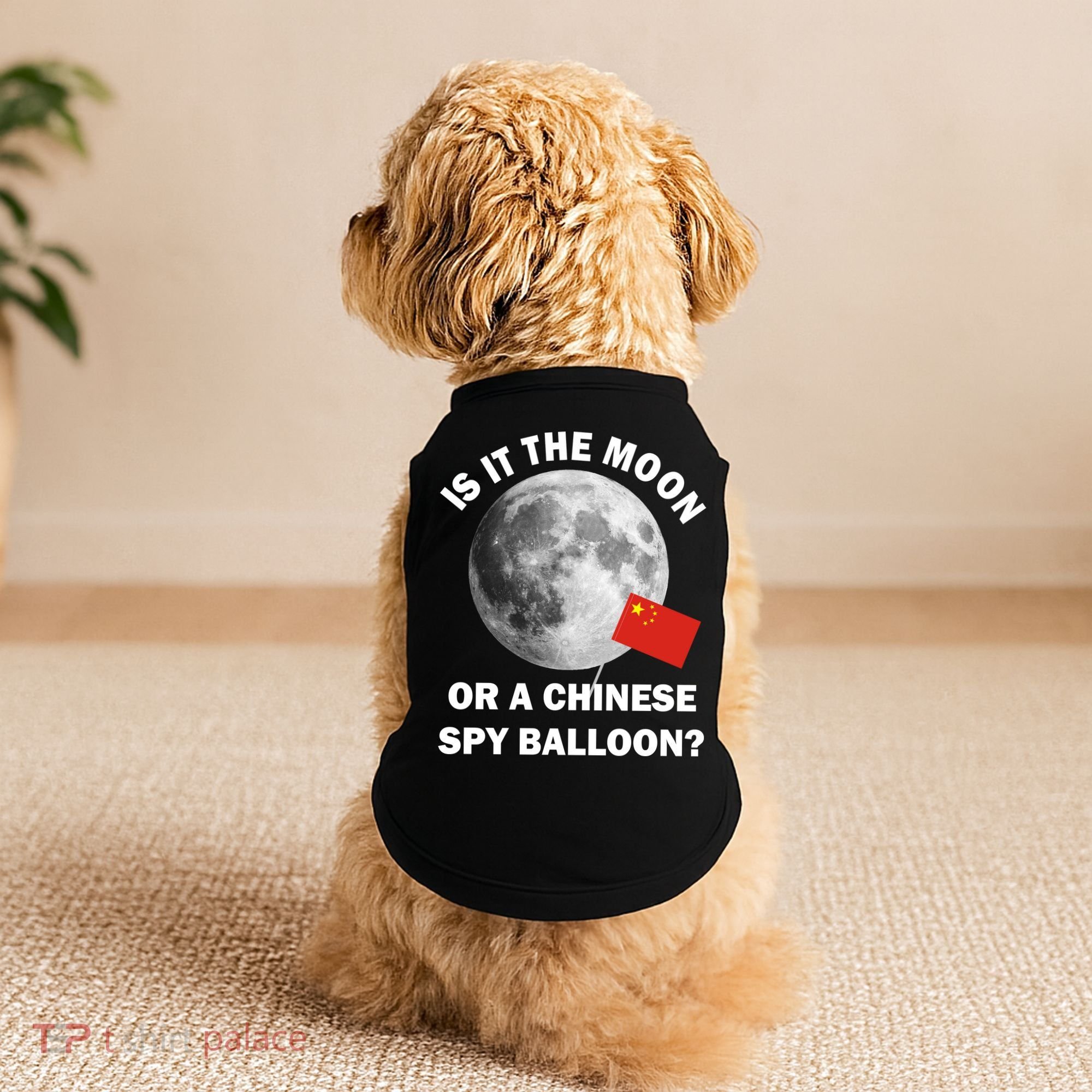 Is It The Moon Or A Chinese Spy Balloon Doggie Tank