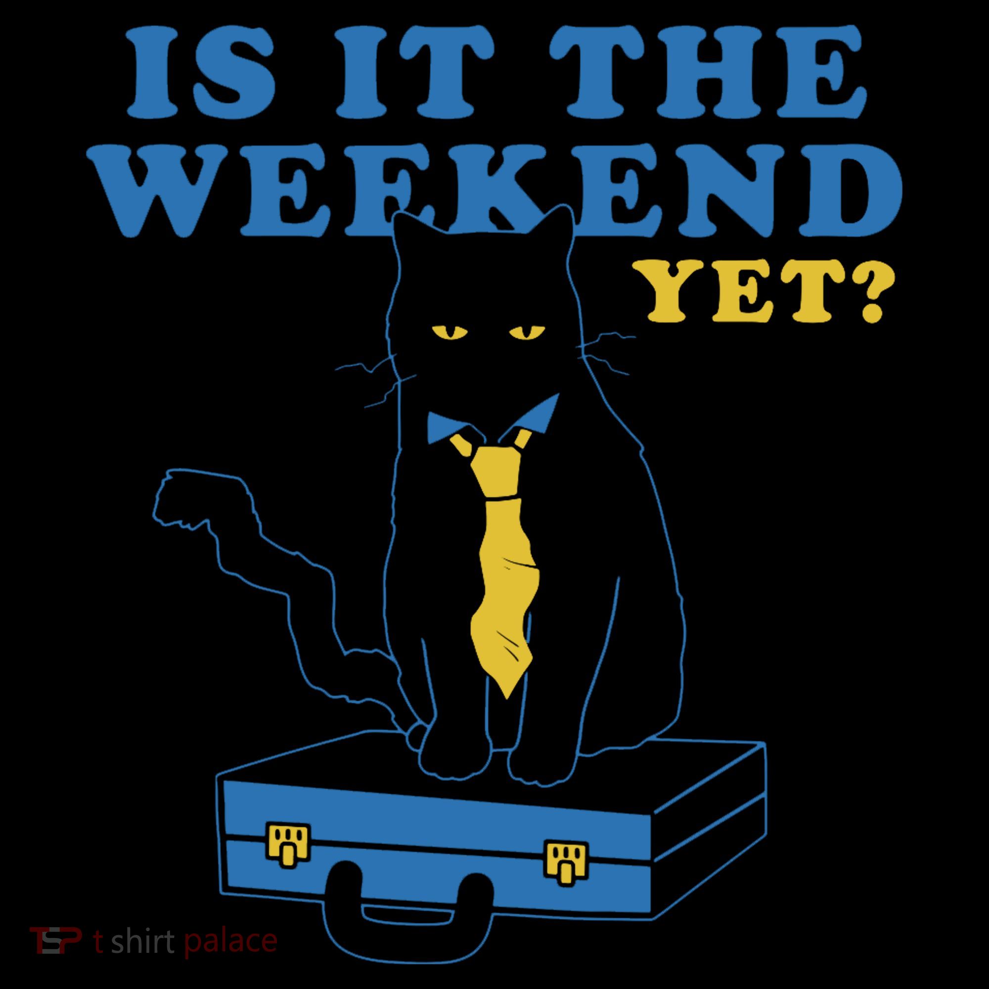 Is It The Weekend Yet Funny Cat Coffee Mug