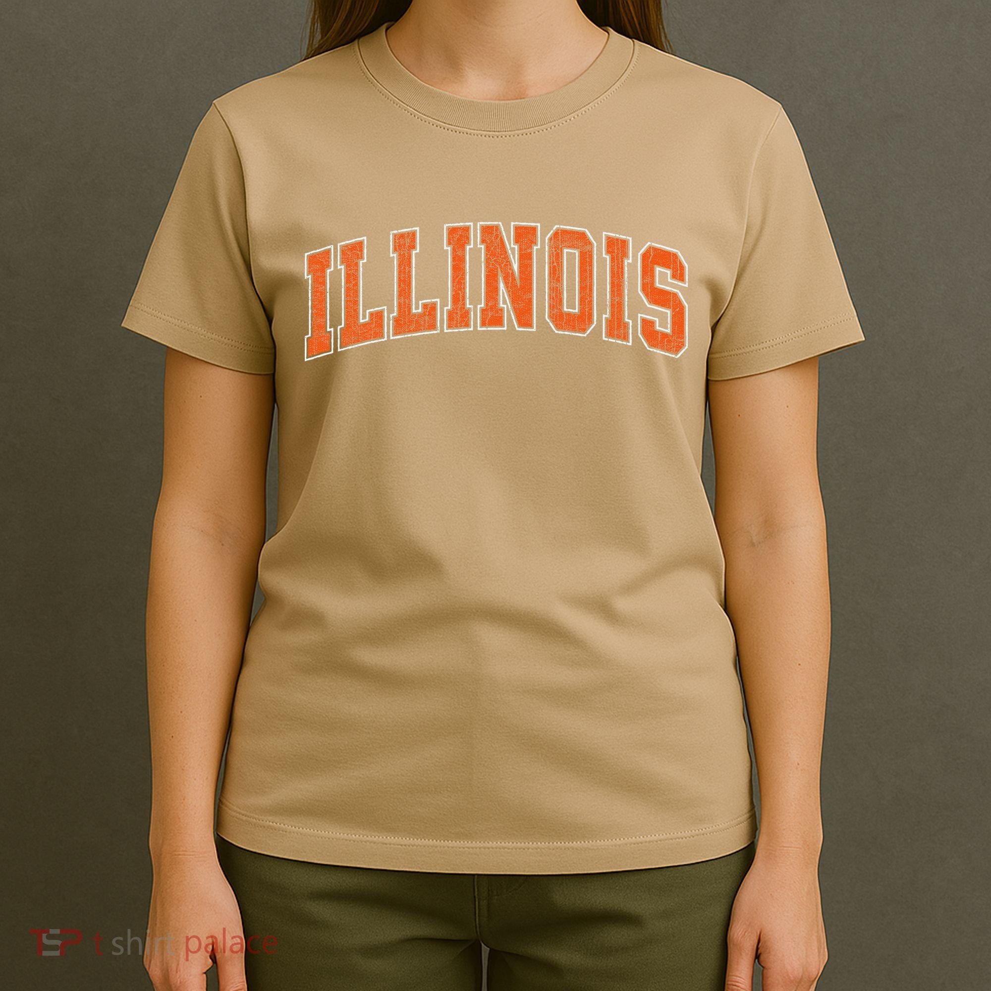 Illinois Il Vintage Athletic Sports Style T-Shirt