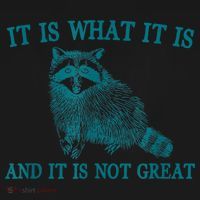 It Is What It Is And It Is Not Great Raccoon Coaster thumb 2