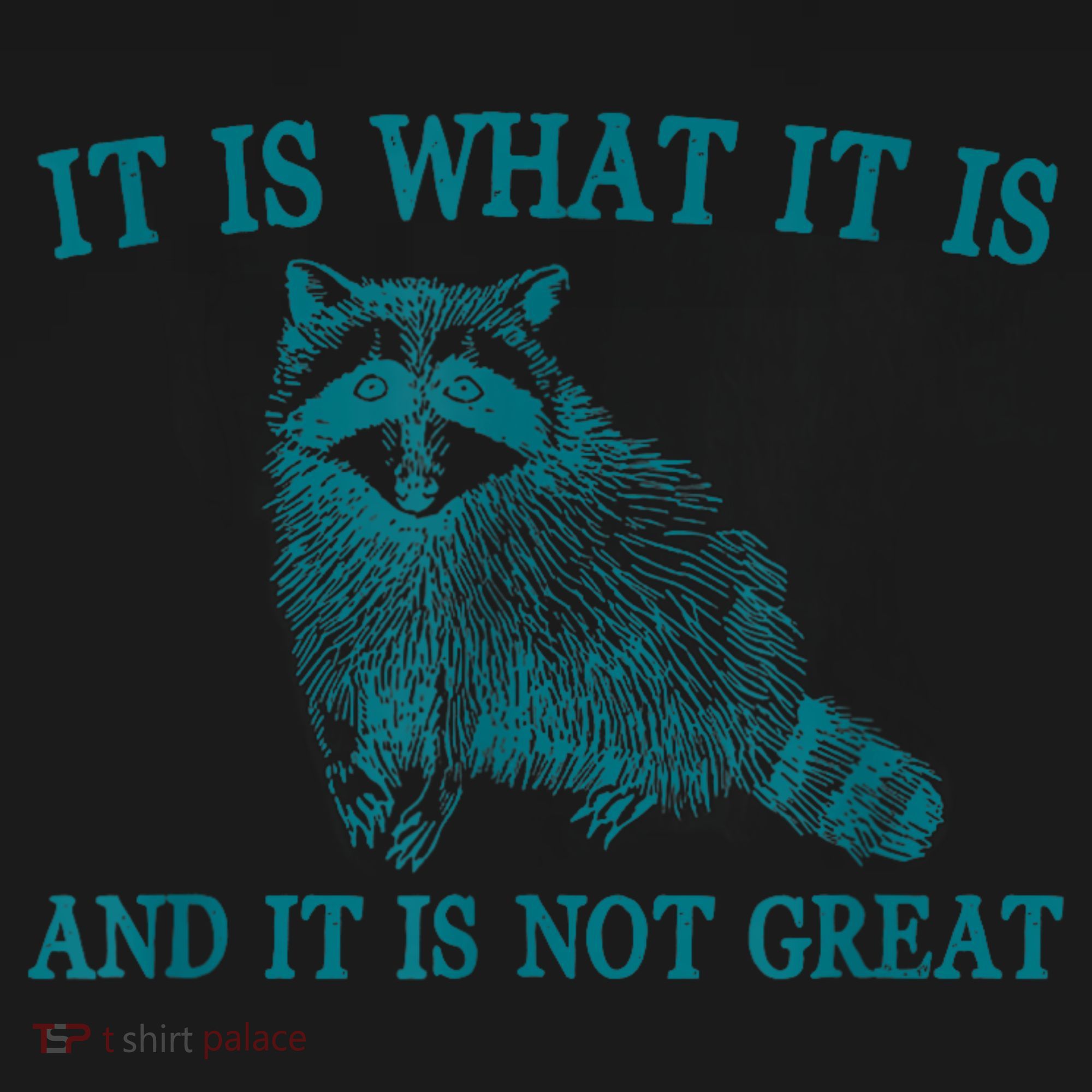 It Is What It Is And It Is Not Great Raccoon Coaster