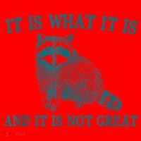 It Is What It Is And It Is Not Great Raccoon Santa Hat thumb 1