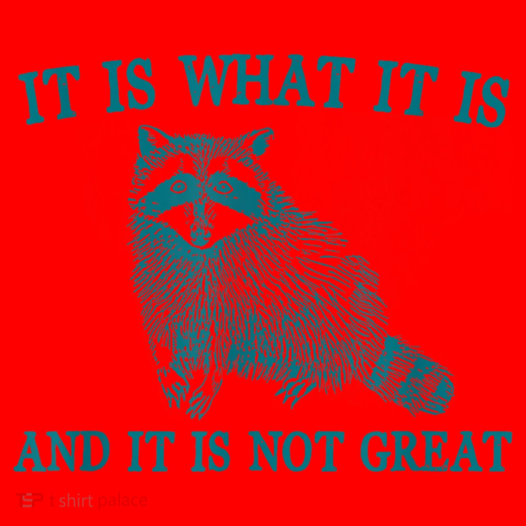 It Is What It Is And It Is Not Great Raccoon Santa Hat