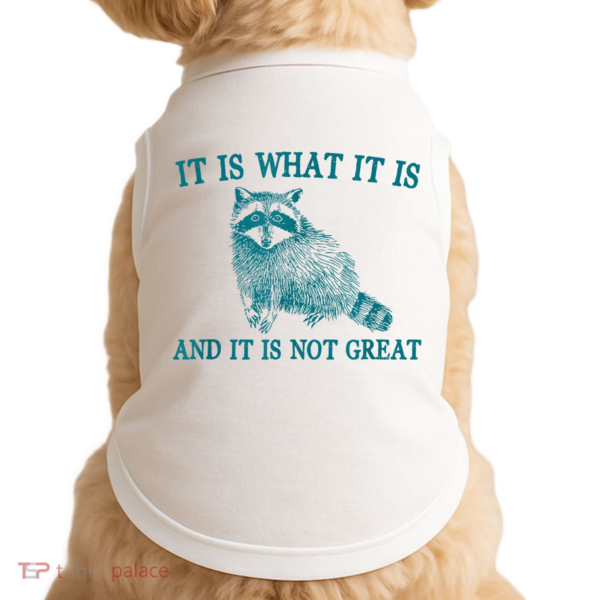 It Is What It Is And It Is Not Great Raccoon Doggie Tank