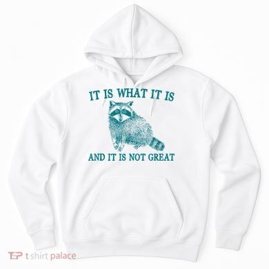 It Is What It Is And It Is Not Great Raccoon Hoodie