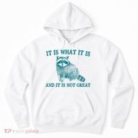 It Is What It Is And It Is Not Great Raccoon Hoodie thumb 0