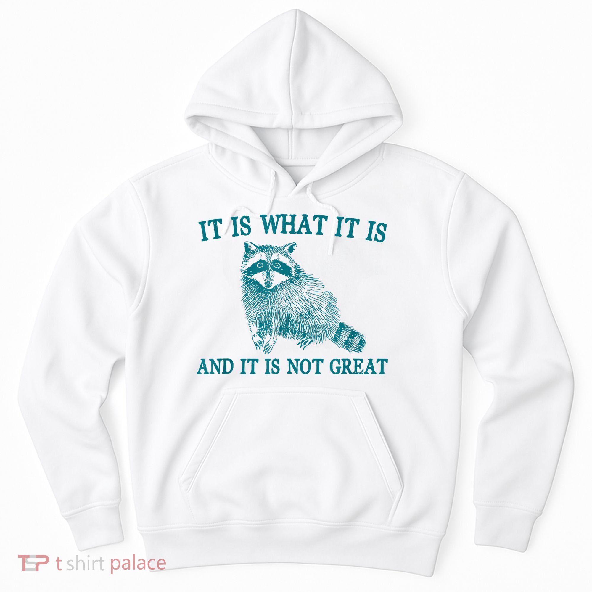 It Is What It Is And It Is Not Great Raccoon Hoodie