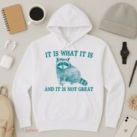 It Is What It Is And It Is Not Great Raccoon Hoodie thumb 3