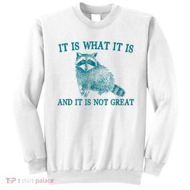 It Is What It Is And It Is Not Great Raccoon Sweatshirt