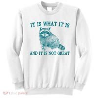 It Is What It Is And It Is Not Great Raccoon Sweatshirt thumb 0