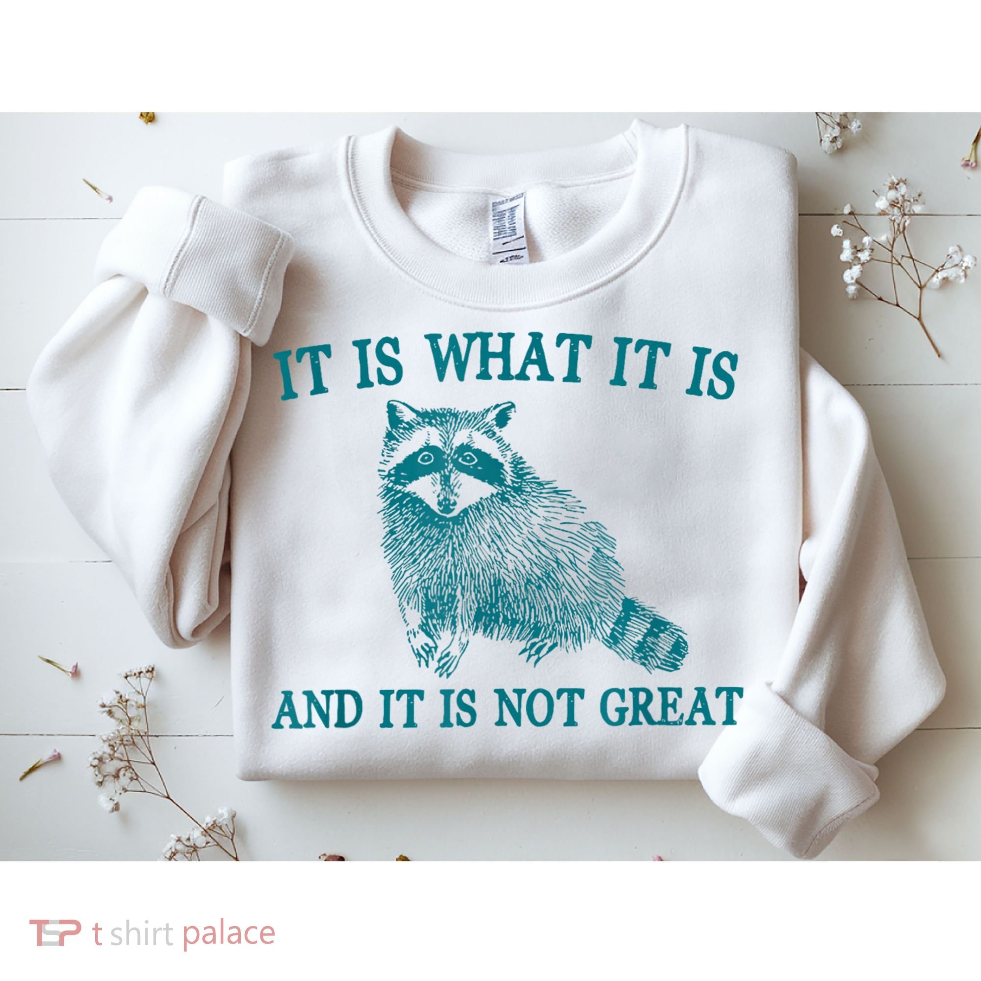 It Is What It Is And It Is Not Great Raccoon Sweatshirt