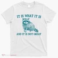It Is What It Is And It Is Not Great Raccoon T-Shirt thumb 0
