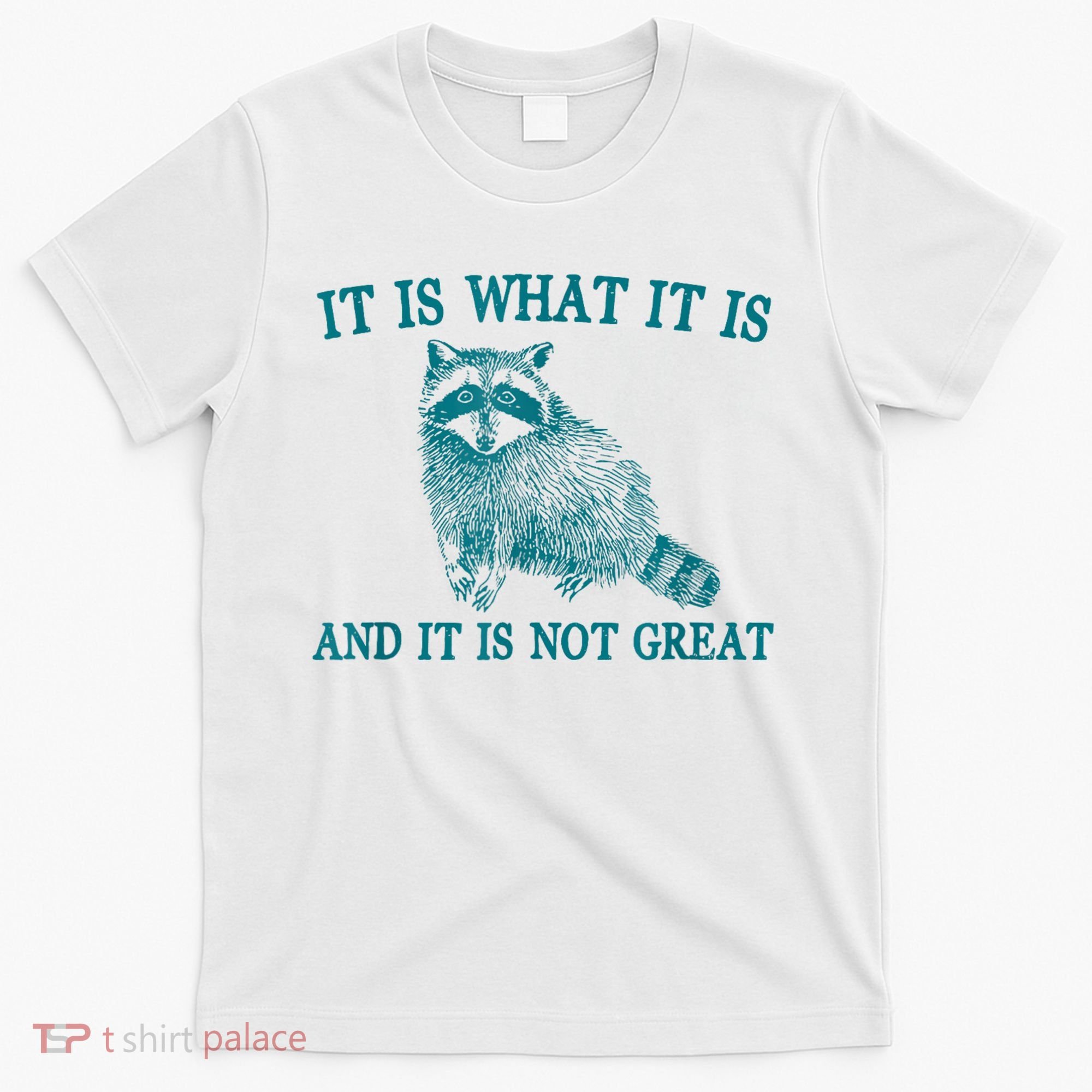 It Is What It Is And It Is Not Great Raccoon T-Shirt