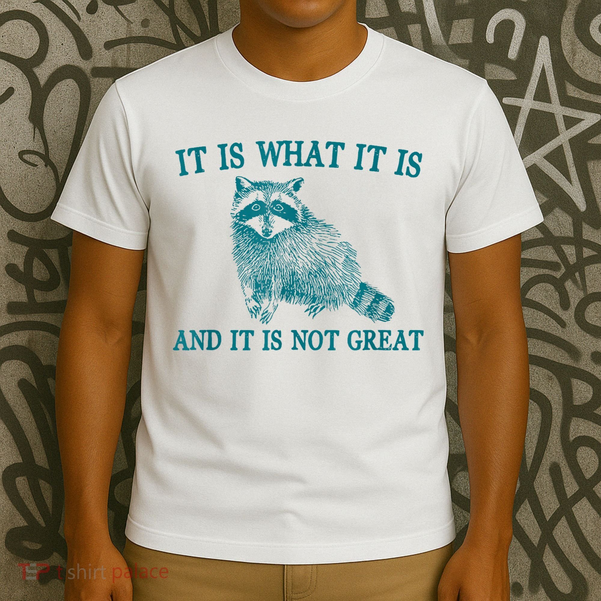 It Is What It Is And It Is Not Great Raccoon T-Shirt