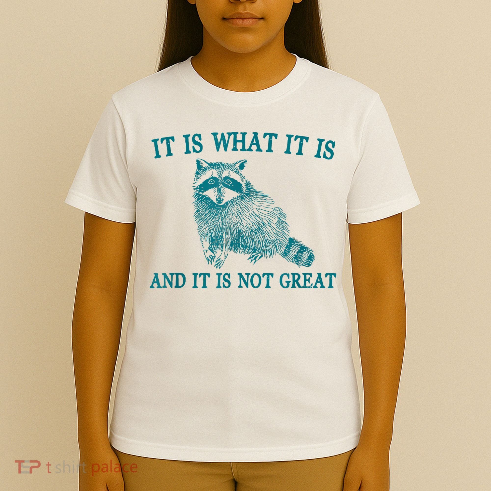 It Is What It Is And It Is Not Great Raccoon T-Shirt