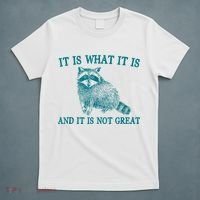 It Is What It Is And It Is Not Great Raccoon T-Shirt thumb 5