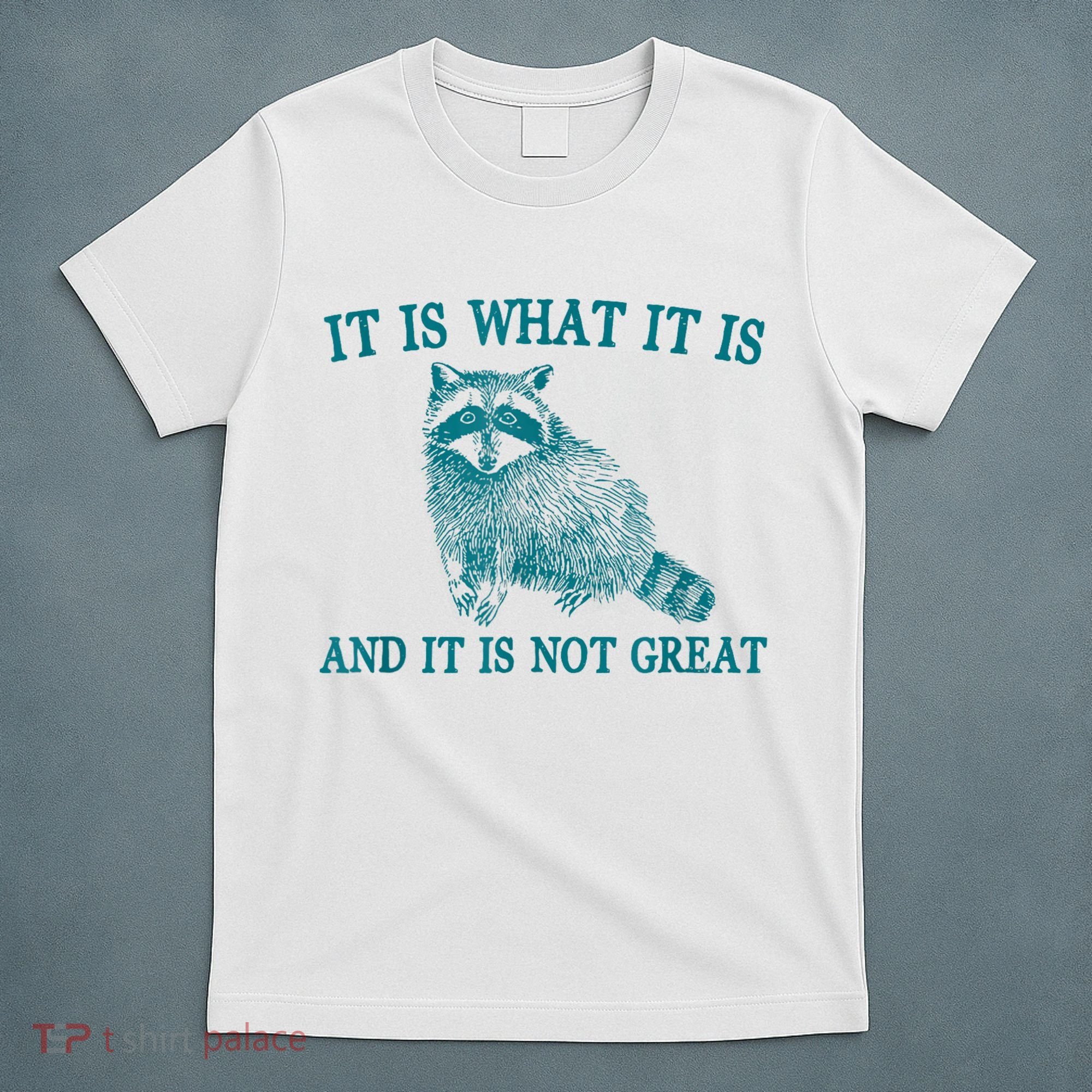 It Is What It Is And It Is Not Great Raccoon T-Shirt