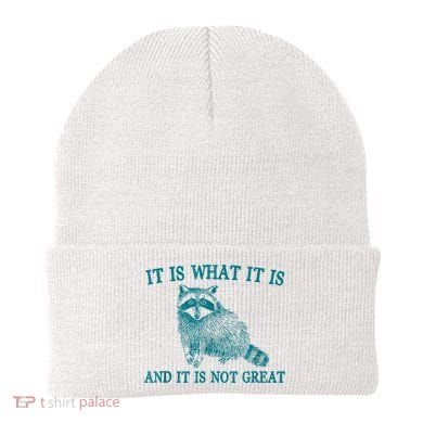 It Is What It Is And It Is Not Great Raccoon Beanie