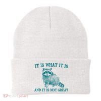 It Is What It Is And It Is Not Great Raccoon Beanie thumb 0