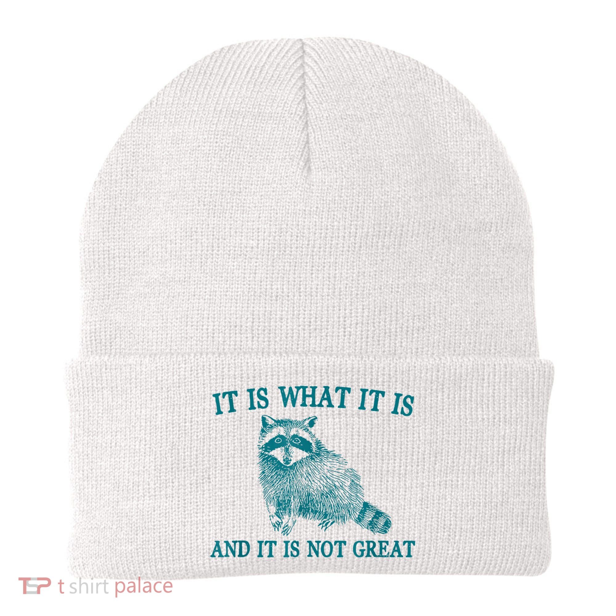 It Is What It Is And It Is Not Great Raccoon Beanie